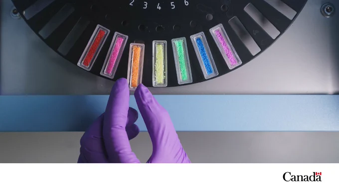 Une main vêtue d’un gant violet dépose une poudre orange parmi plusieurs autres couleurs sur un disque noir.