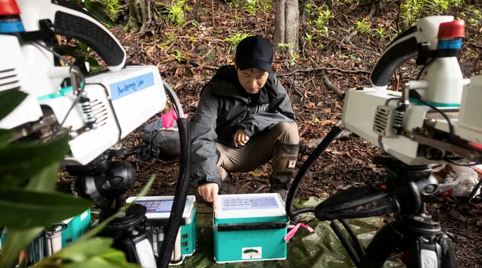 A person squats in a forest and adjusts a machine in a box while surrounded by scientific instrumentation. Josh Fisher/Chapman University