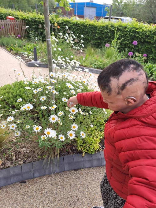 A woman wearing a red puffer jacket exploring a bed of giant daisies with her hands, 