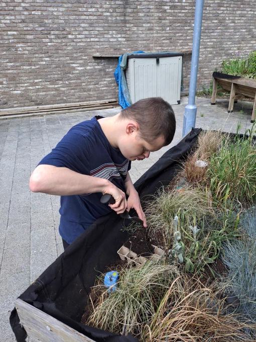 A young man in a navy blue t-shirt digs in a raised flowerbed. 