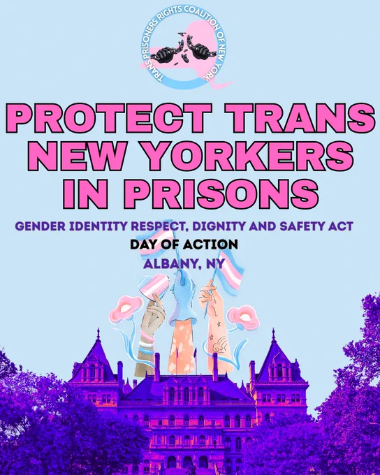 Bold, clean graphic in trans flag colors with raised fists and a silhouette of the NY State Capitol.