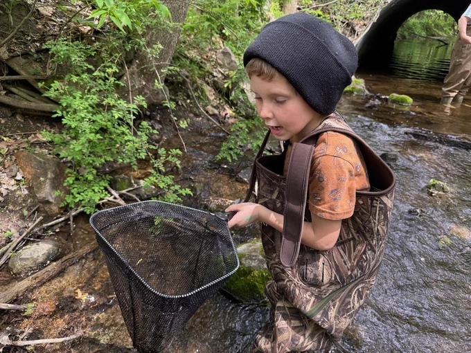 students exploring life in the creek