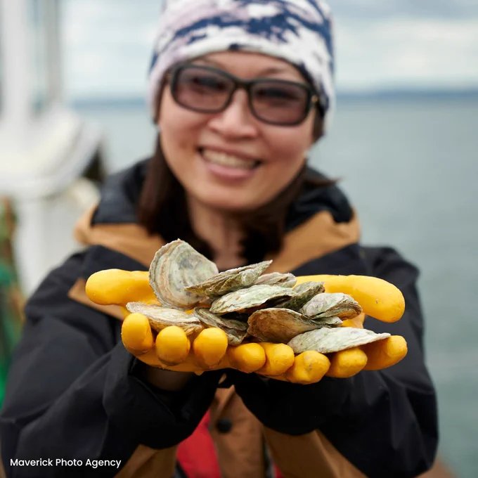 A volunteer stood holding up her hands towards the camera. In her gloved hands are several oysters. There is sea and sky in the background. 