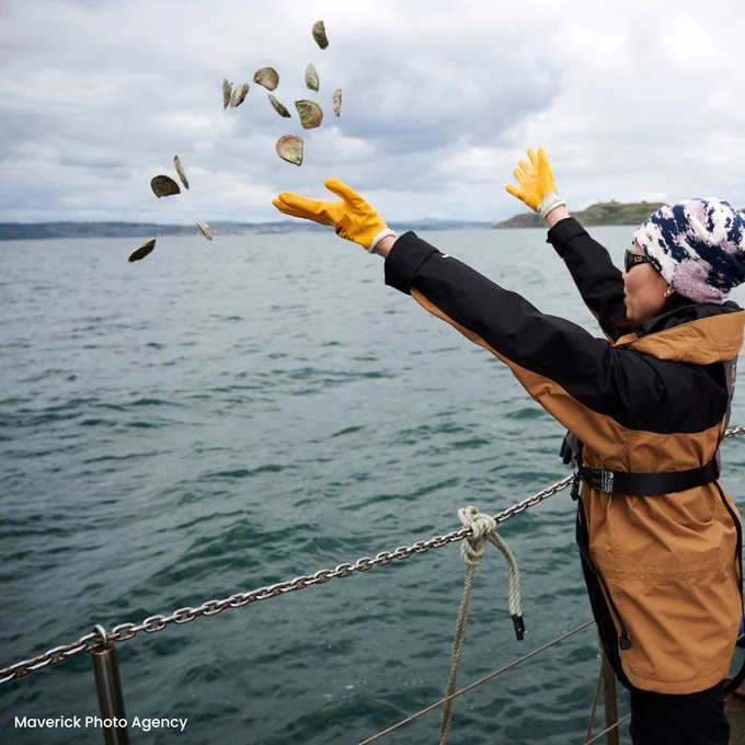 A volunteer stands on a boat with her arms up in the air as she has just thrown several oysters, which can be seen, up in the air and out to sea. 