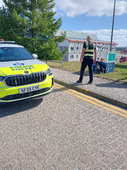 Dog conducting training with handler