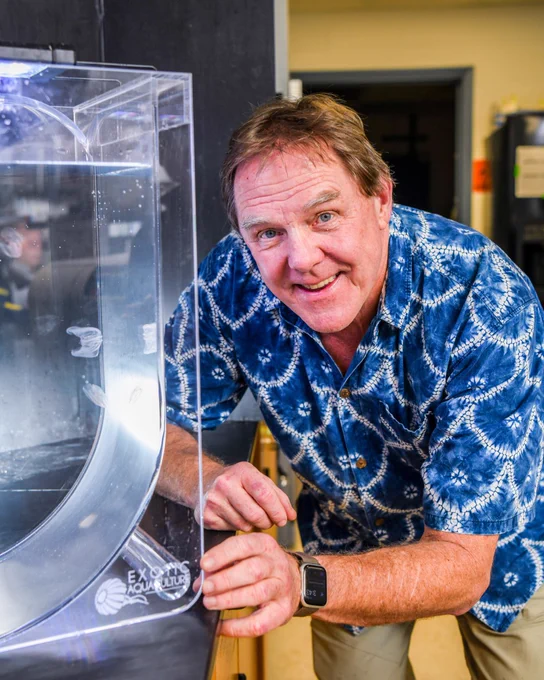 A man in a blue patterned shirt is leaning over a clear aquarium setup in a laboratory. He appears engaged and is positioning his hands on the equipment, with various lab materials visible in the background.