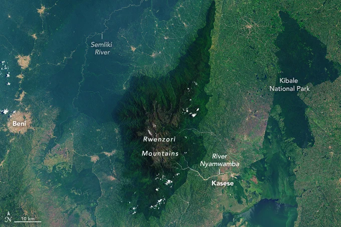 Landsat 9 image of the Rwenzori Mountains. Dark-green vegetation lies on the mountain flanks and transitions to more barren, brown land at higher elevations. Small patches of white snow and ice are visible on the tallest peaks. A network of thin brown rivers is visible to the left and right of the mountains.