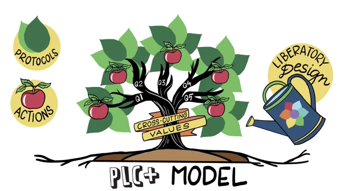 The PLC  Model: graphic of a tree with "cross cutting values" wrapping the trunk, and 5 branches extending from it. On each branch is an apple labeled "action" and leaves labeled "protocols." "Liberatory design" waters the tree. 