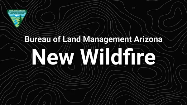 Banner - New Wildfire