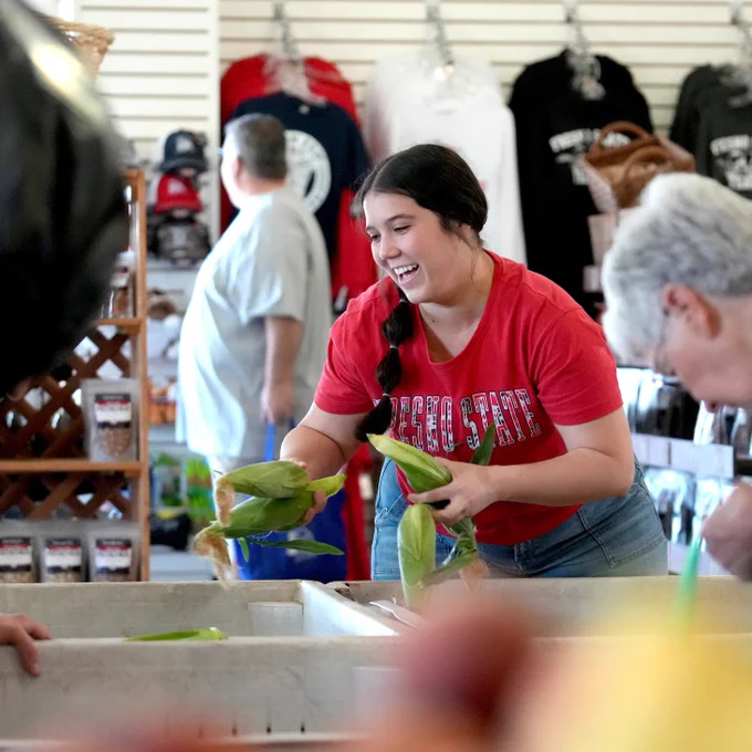 A Fresno State student employee smiles as she places the world famous sweet corn into a pallet container inside the Gibson Farm Market.