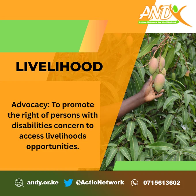 This includes advocacy with relevant government agencies for persons with disabilities access to work permits, KRA PIN, and business licenses; admission to public and private vocational institutions; financial inclusion with mainstream financial service providers to access banking and credit services, business development services and access to livelihoods opportunities in the private sector.