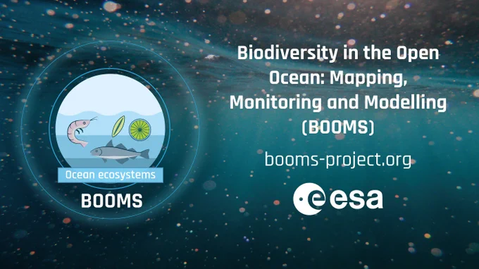 Under ocean photo with a logo showing krill, fish, and plankton. with the text "Biodiversity in the Open Ocean:Mapping, Monitoring and Modelling (BOOMS)" BOOMS-Project.org and the ESA logo