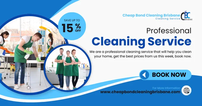 professional cleaning service