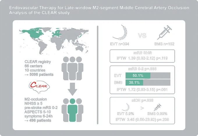 Graphic abstract in Winzer and Kaiser et al.