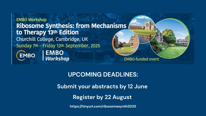 Poster of event: EMBO Workshop, Ribosome Synthesis: From Mechanisms to Therapy, 13th Edition. Churchill College, Cambridge, UK. Sunday 7th-Friday 12th September, 2025. EMBO-funded event. 