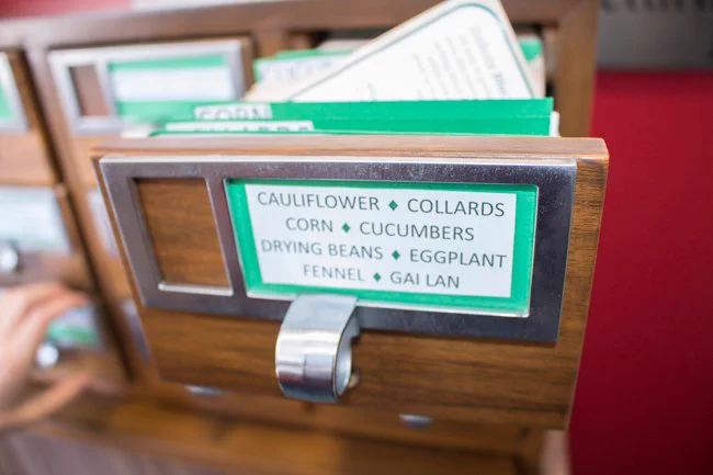 Wood card catalogue drawer filled with seed packets.
