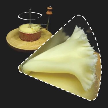 round cheese on a cutting wheel with an enlargement showing the cheese flower structure that is cut from the wheel