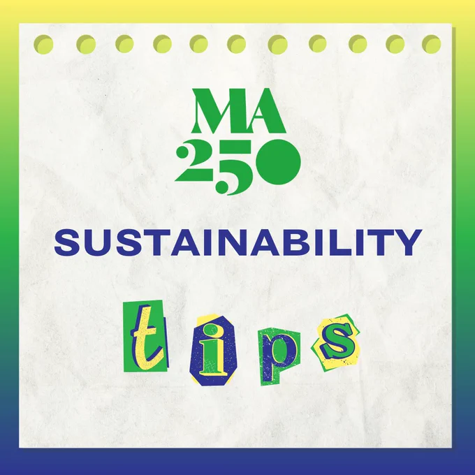 MA250 Sustainability Tips
