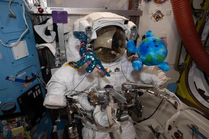 A U.S. spacesuit is pictured in the Quest airlock of the International Space Station ahead of a pair of spacewalks that astronauts Chris Cassidy and Behnken conducted to upgrade orbital lab power systems. A pair of plush-doll mascots, (from left) Tremor and Little Earth, delivered aboard the first two SpaceX Crew Dragon vehicles are posed floating in front of the spacesuit. Credit: NASA