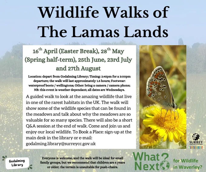 Image id: A photo of a butterfly on a yellow flower

'16th April (Easter Break), 28th May (Spring half-term), 25th June, 23rd July and 27th August

Location: depart from Godalming Library; Timing: 2:45pm for a 3:00pm departure; the walk will last approximately 1.5 hours; Footwear: waterproof boots / wellingtons; Other: bring a camera / camera phone;
NB: this event is weather dependant; all dates are Wednesdays.

A guided walk to look at the amazing wildlife that live in one of the rarest habitats in the UK. The walk will show some of the wildlife species that can be found in the meadows and talk about why the meadows are so valuable for so many species. There will also be a short Q&A session at the end of walk. 

Everyone is welcome, and the walk will be ideal for small family groups, but we recommend that children are 6 years or older; the terrain is unsuitable for push-chairs.'

The What Next?, Godalming Library, and Surrey County Council logos are in the corners of the image.