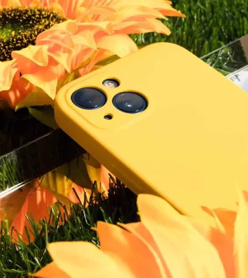 Snap, Upload, Save: How Citizen Photos Are Rescuing Mediterranean Pollinators 