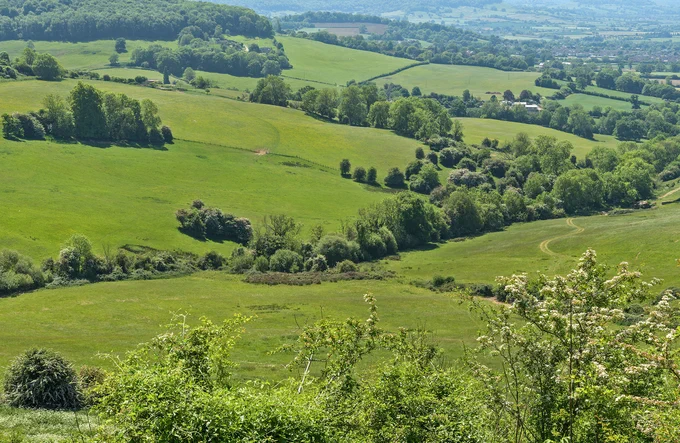 On the Cotswold Way on a glorious day.