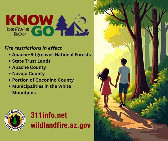 Cartoon style of father and daughter walking on dirt path in forest. Text lists the different jurisdictions where fire restrictions are in effect for the White Mountains. White Mountain Fire Coordinating group and two website addresses are on the bottom. 311info.net and wildlandfire.az.gov