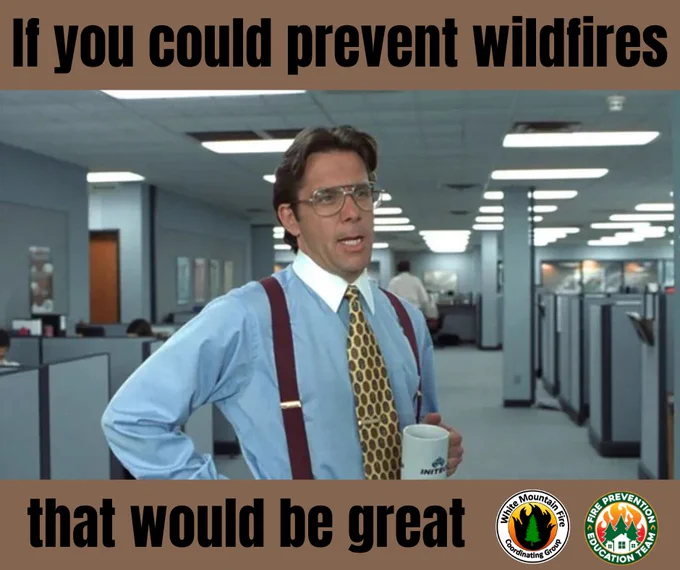 Man in business shirt and tie stand in office space with cubicles. Text reads "if you could prevent wildfires that would be great". Logos for the prevention team and white mountain fire coordinating group in bottom right.
