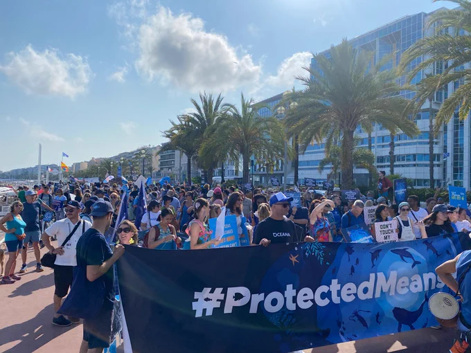 #ProtectedMeansProtected banner in the head of the Blue March