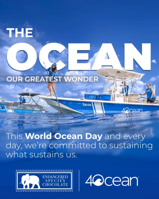 Promotional poster for World Ocean Day featuring two individuals on a 4ocean boat with clear skies and calm seas in the background. Text reads "THE OCEAN OUR GREATEST WONDER" and includes logos for Endangered Species and 4ocean, emphasizing commitment to ocean sustainability.