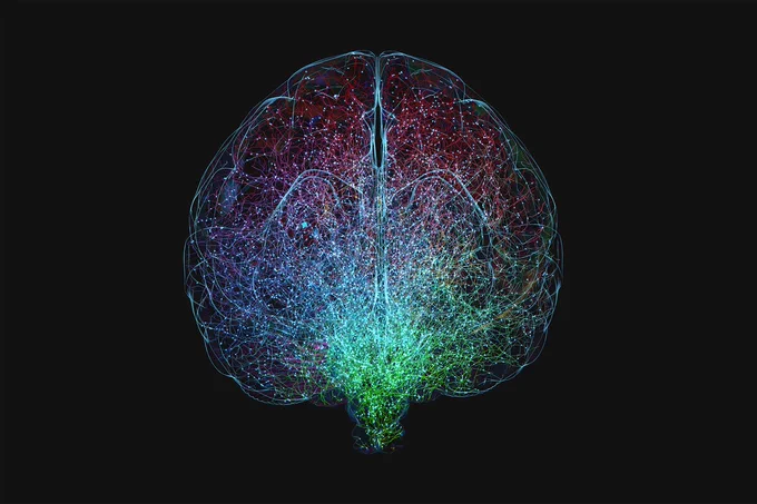 Colorful, intricate neural network visualization representing a brain, set against a black background.