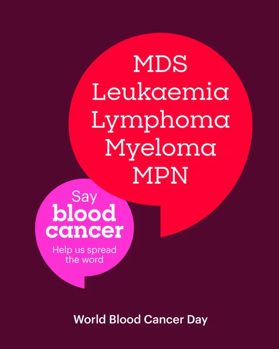 Graphic image maroon background with red speech bubble that says 'MDS, Leukaemia, lymphoma, myeloma, MPN.' overlapping a smaller pink speech bubble that says 'Say blood cancer. Help us spread the word.' underneath in the middle it reads 'world blood cancer day' 