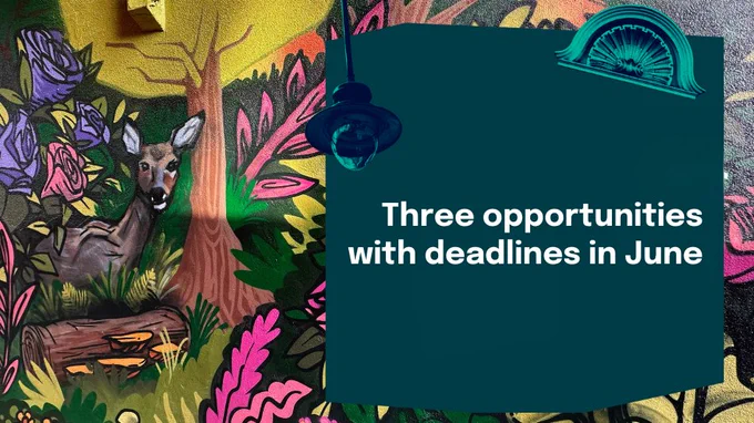 Three opportunities with deadlines in June