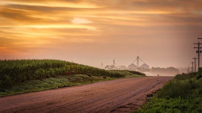 Grain bins can be seen on the horizon near a gravel road, with a cornfield on the left and a row of electrical poles on the right. (Shutterstock)