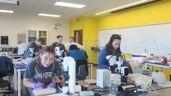 Students extracting DNA from ticks