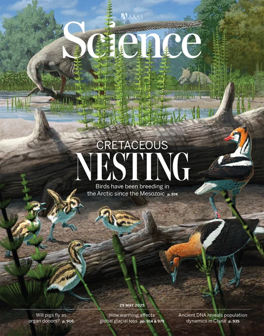 Newly hatched birds explore a 73-million-year-old Arctic environment. 