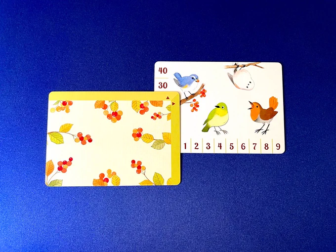 Two score cards from the game Songbirds. The one on the left has berries on it and is overlapping the one on the right which has pictures of birds. There are numbers along the edge of the card and the manner of which they are covered up reveals a 10's place and a single digit which can be put together in order to read a number. In this case "31"