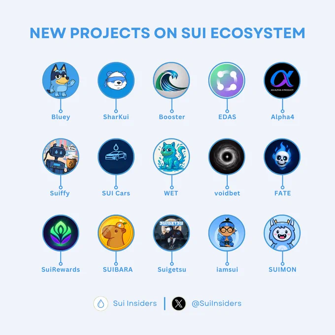 NEW PROJECTS ON SUI ECOSYSTEM 🚀
