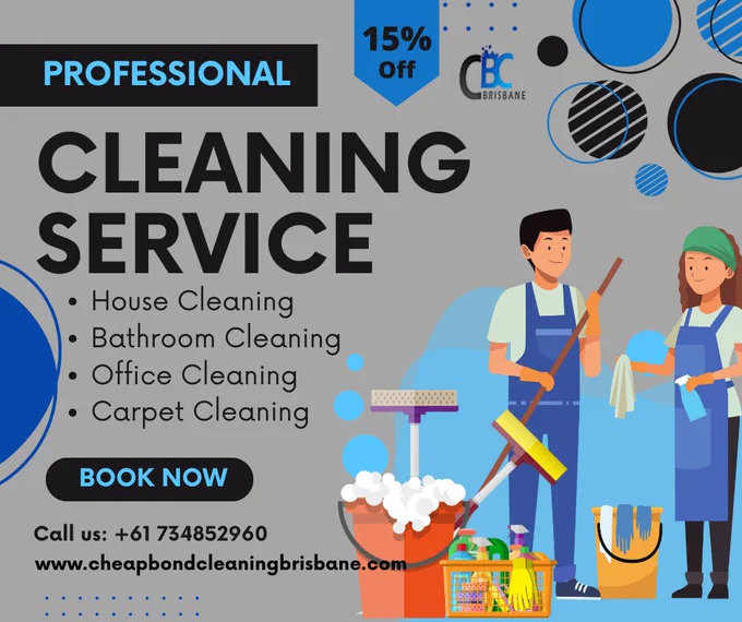 professional cleaning service