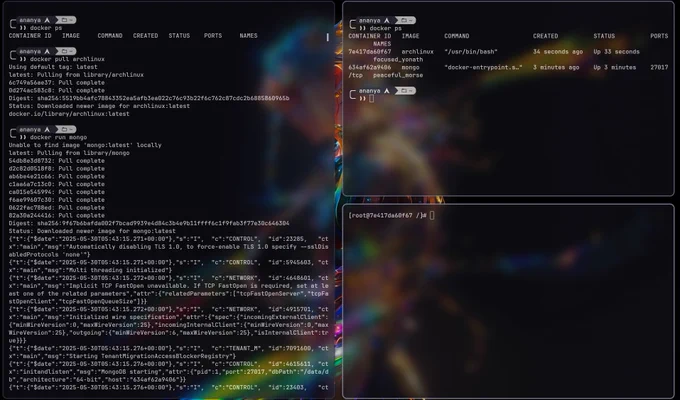 List of running docker containers - archlinux and mongo