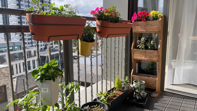 Photo of a residents' balcony with lots of planters