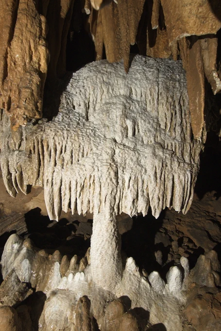Fisher Cave in Meramec State Park