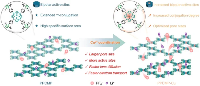 Graphical abstract image for the new Chemical Science Hot article "Cu-mediated bipolar-type extended p-conjugated microporous polymers for lithium-ion battery cathode with high energy density and fast-charging capability". The image shows the structure of the microporous polymer and how copper binding increases the number of bipolar active sites and increases the conjugation, leading to better performance in lithium ion batteries.