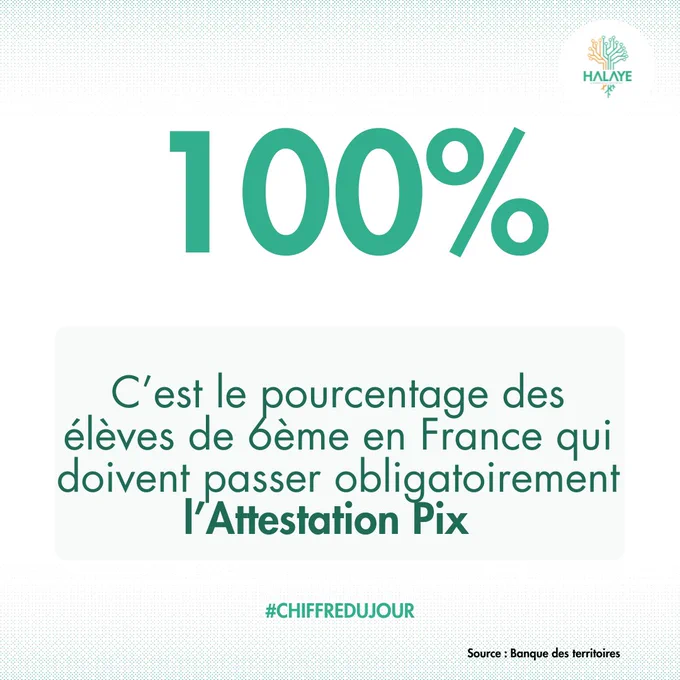 100 % des élèves de 6e doivent obtenir l’attestation Pix cette année, un pas clé pour sensibiliser à la prévention du cyberharcèlement et aux bonnes pratiques numériques.

Un enjeu majeur soutenu par HALAYE et ses cafés débats sur la sécurité en ligne et le e-harcèlement.

#halaye #inclusionnumérique #QPV #LeNumériqueAlaPortéeDeTous

