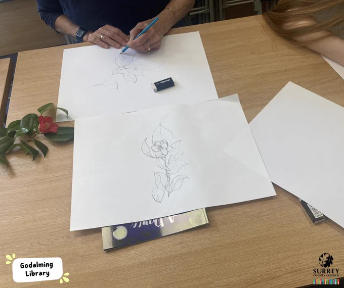 Two pieces of paper next to a red flower. One drawing is finished and the other is in progress.