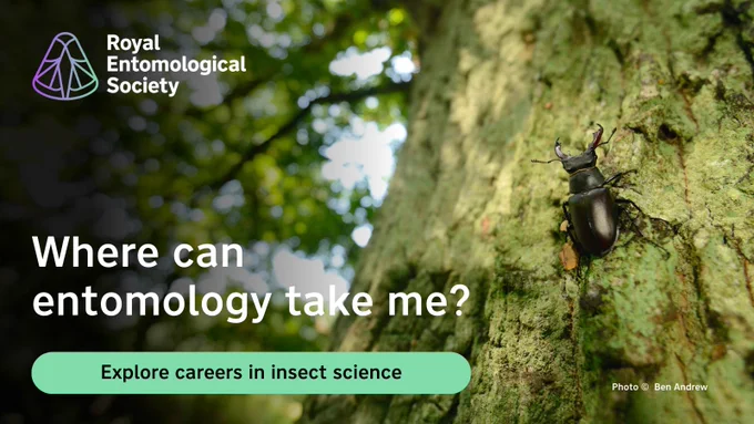 RES advertising for careers in entomology featuring a Stag Beetle, Lucanus cervus (c) Ben Andrew 2016