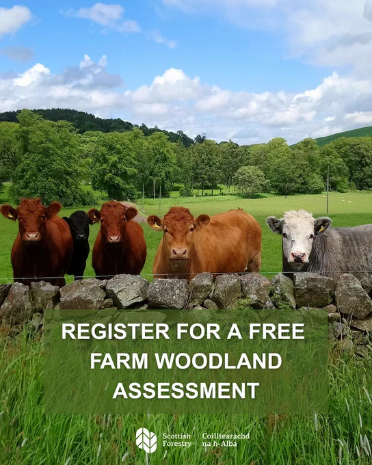Register for a free Farm Woodland Assessment