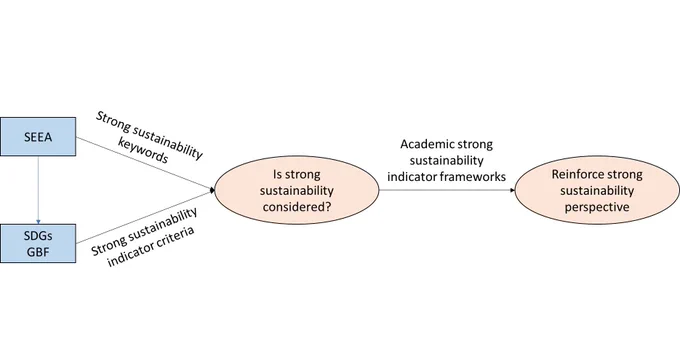 A conceptual flow diagram illustrating the assessment and reinforcement of strong sustainability. It begins with two blue rectangles labeled “SEEA” and “SDGs GBF”. These two sources provide "Strong sustainability keywords" and "Strong sustainability indicator criteria," respectively, feeding into a central beige oval labeled “Is strong sustainability considered?” This oval connects with a rightward arrow to another beige oval labeled “Reinforce strong sustainability perspective,” which is supported by “Academic strong sustainability indicator frameworks” indicated along the arrow.