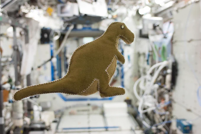 NASA astronaut Karen Nyberg, Expedition 37 flight engineer, made this stuffed dinosaur toy aboard the International Space Station, using scraps of food-packaging liners and a T-shirt. The dinosaur is dark green and floats inside of the station. Credit: NASA/Karen Nyberg