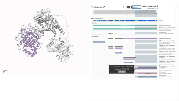 CATH-Gene3D annotation visualised on BFVD structure prediction of UniProt A0A075FDU7